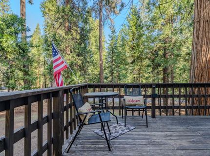 16970 Alpine Dr, Pioneer, CA 95666 Photo