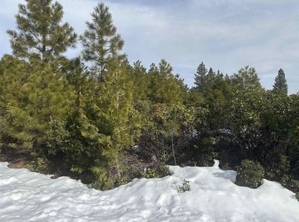 273 Walsh Court, Lake Almanor, CA 96137 Photo