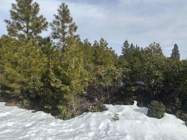 273 Walsh Court, Lake Almanor, CA 96137