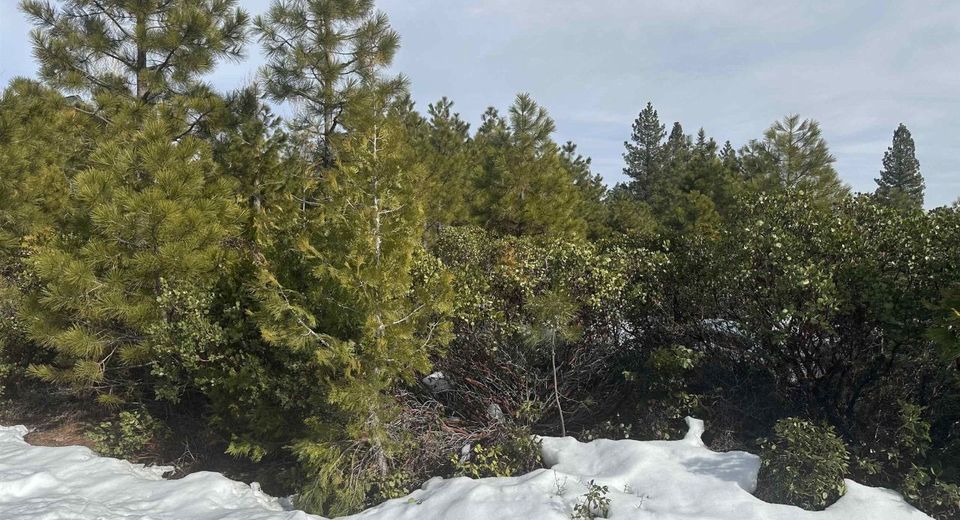 273 Walsh Court, Lake Almanor, CA 96137 Photo