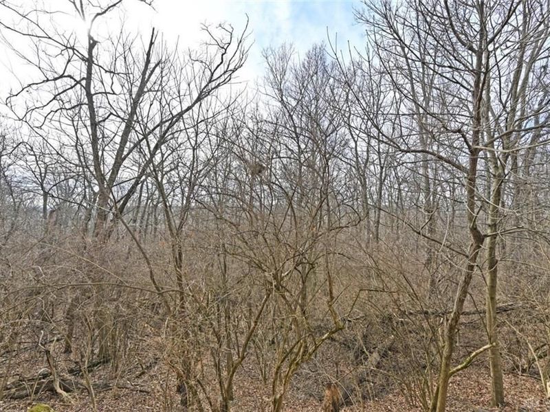 8335 Summerbridge Way, West Chester, OH 45069 Photo 56