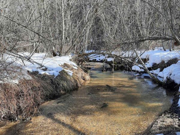 TBD E Antler Rd, Chattaroy, WA 99003