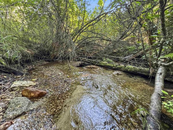 TBD E Antler Rd, Chattaroy, WA 99003