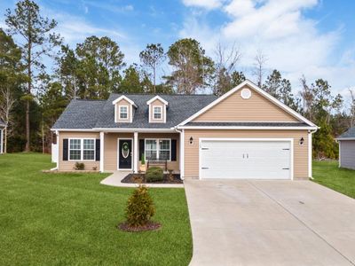 168 Baylee Circle, Galivants Ferry, SC 29544