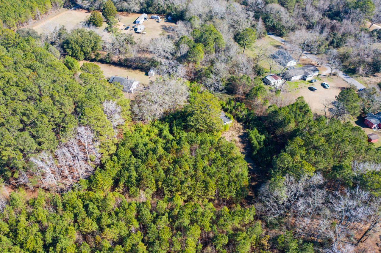 351 Barkley Street Photo 11