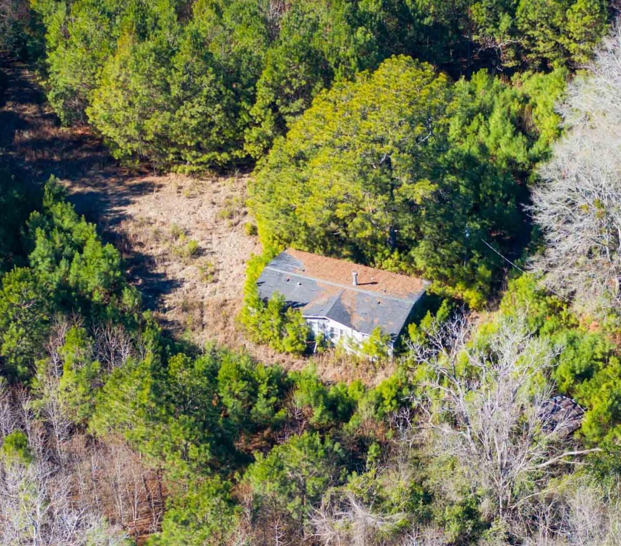 351 Barkley Street Photo 2