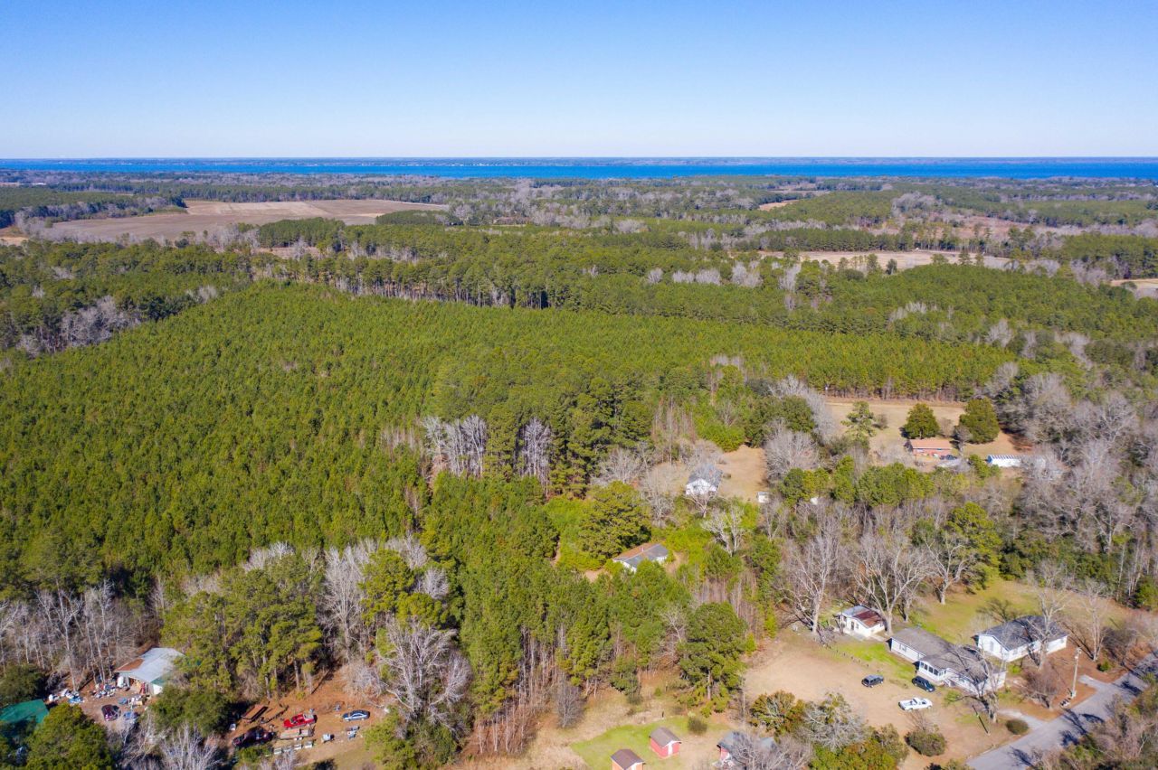 351 Barkley Street Photo 6