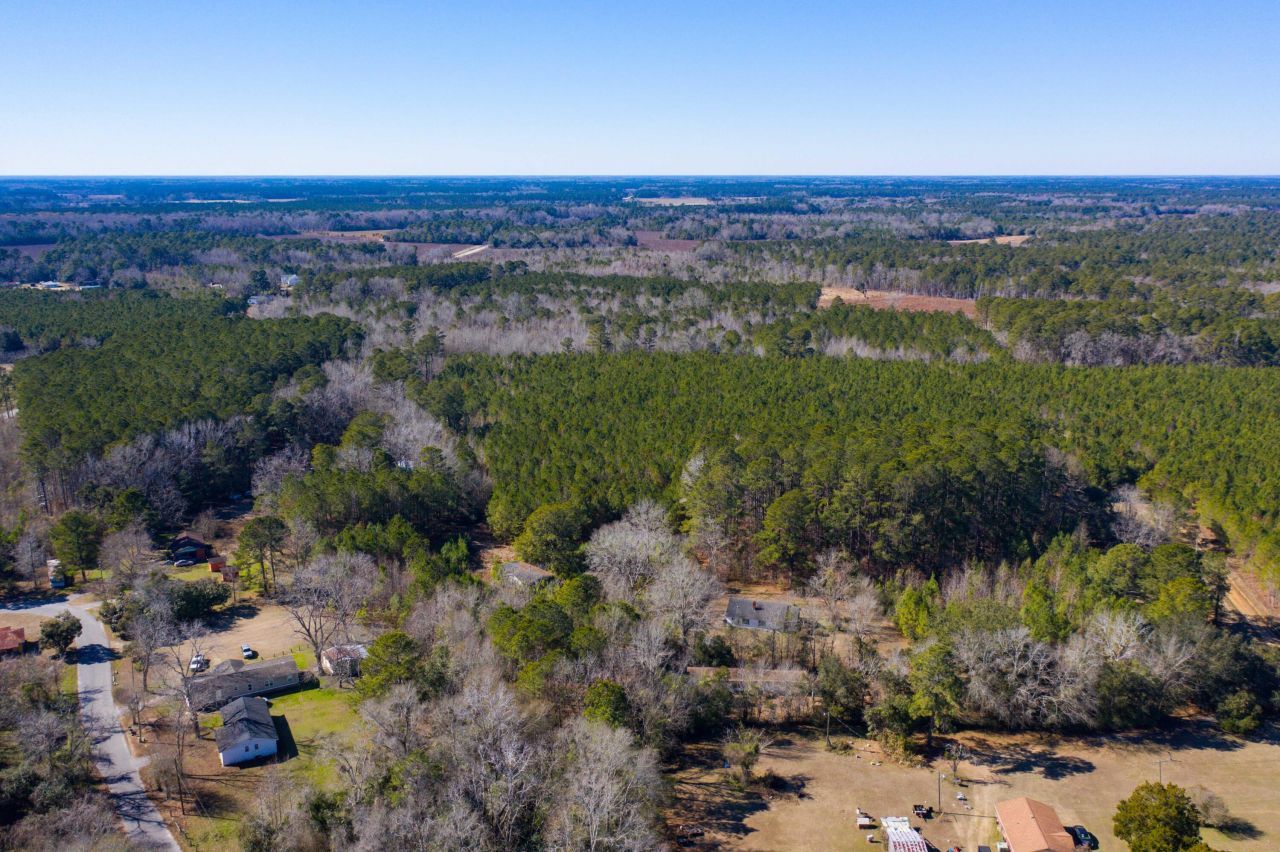 351 Barkley Street Photo 8