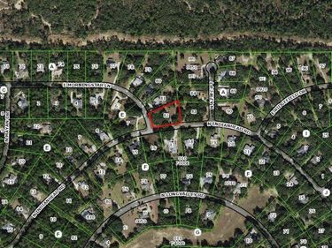 1085 E MORNINGSTAR LANE, HERNANDO, FL 34442
