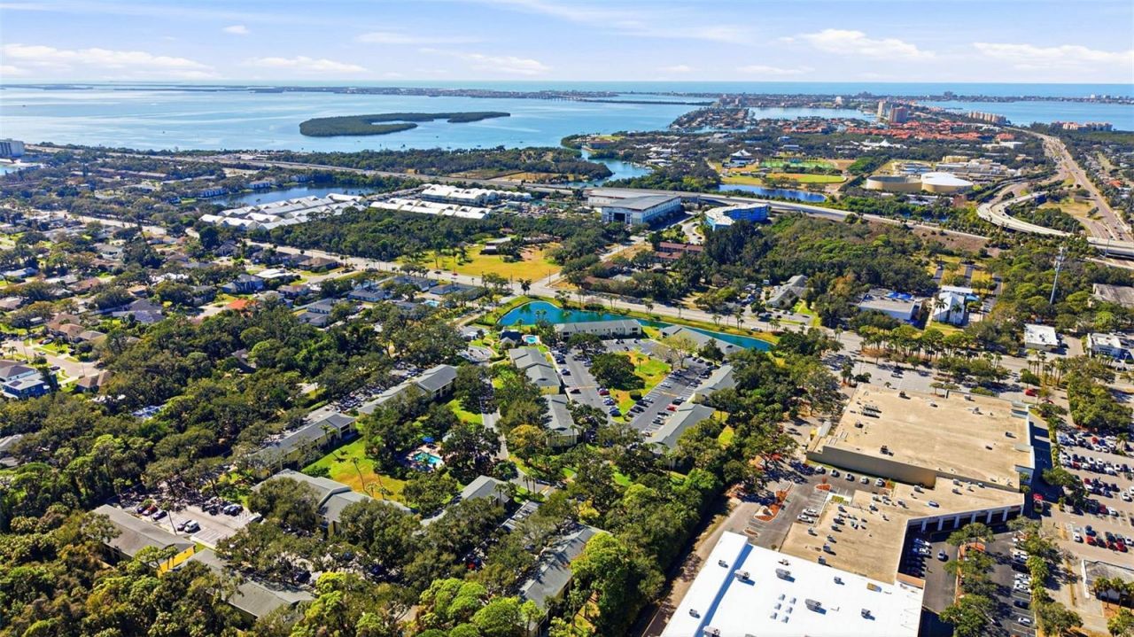 3001 58th Avenue S, Unit 105, Saint Petersburg, FL 33712 Photo