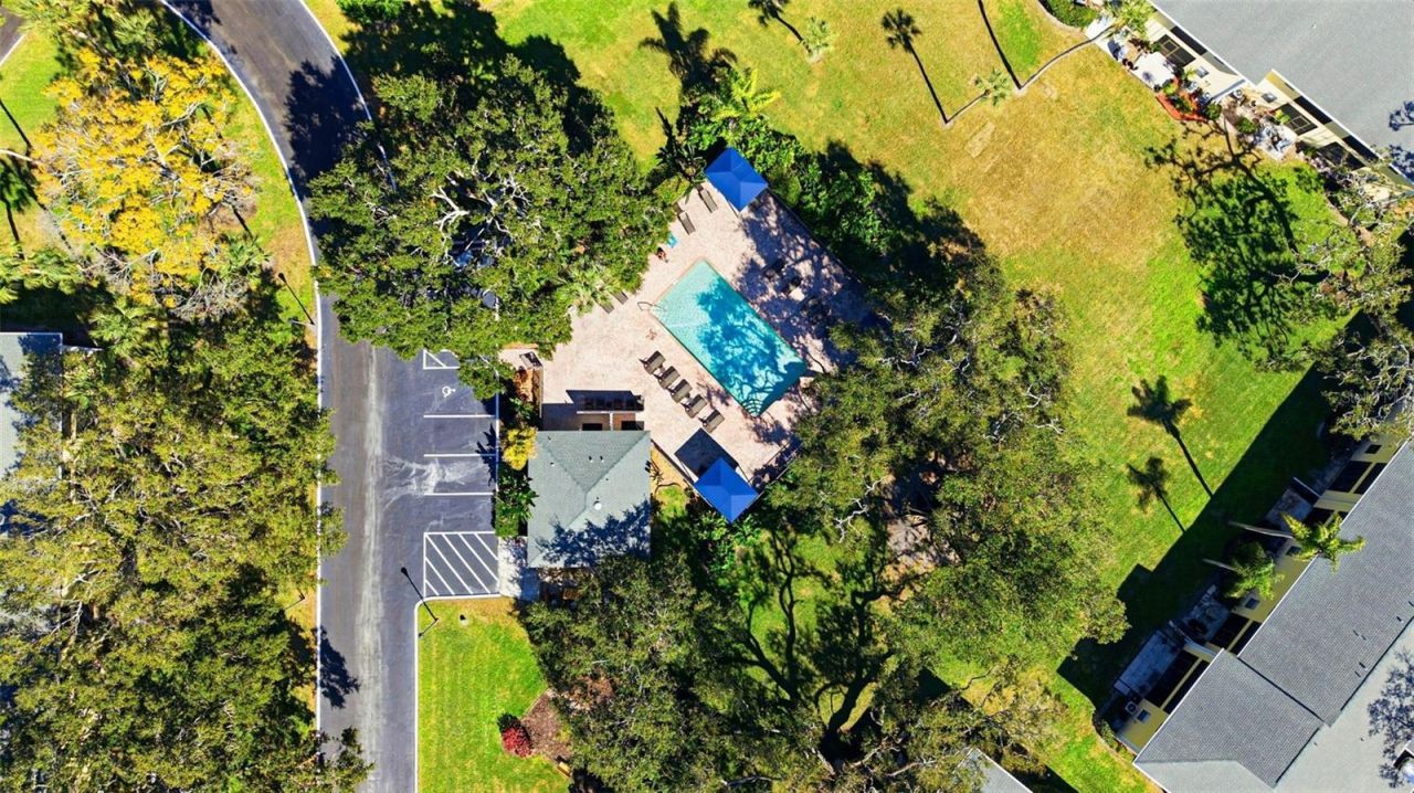 3001 58th Avenue S, Unit 105, Saint Petersburg, FL 33712 Photo