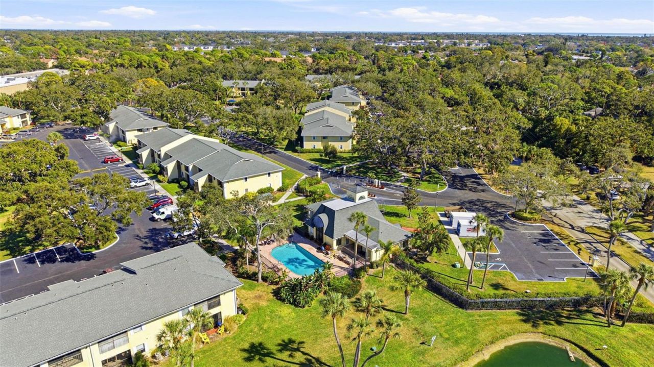 3001 58th Avenue S, Unit 105, Saint Petersburg, FL 33712 Photo