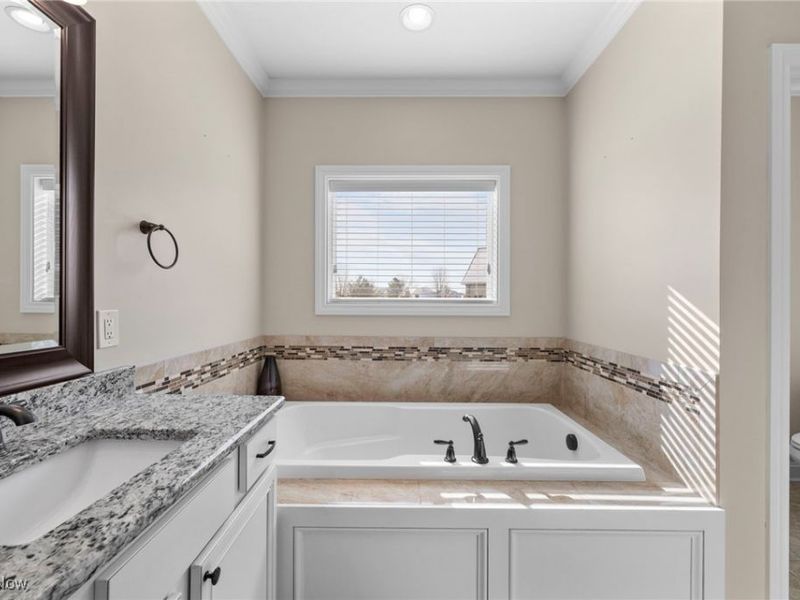 6240 Highland Green Drive, Medina, OH 44256 Photo 21