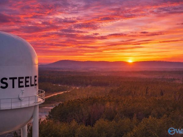 38.1 acres Steele Station Road, Steele, AL 35987