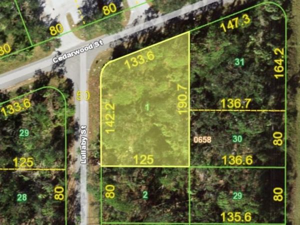 1376 LULLABY STREET, PORT CHARLOTTE, FL 33948