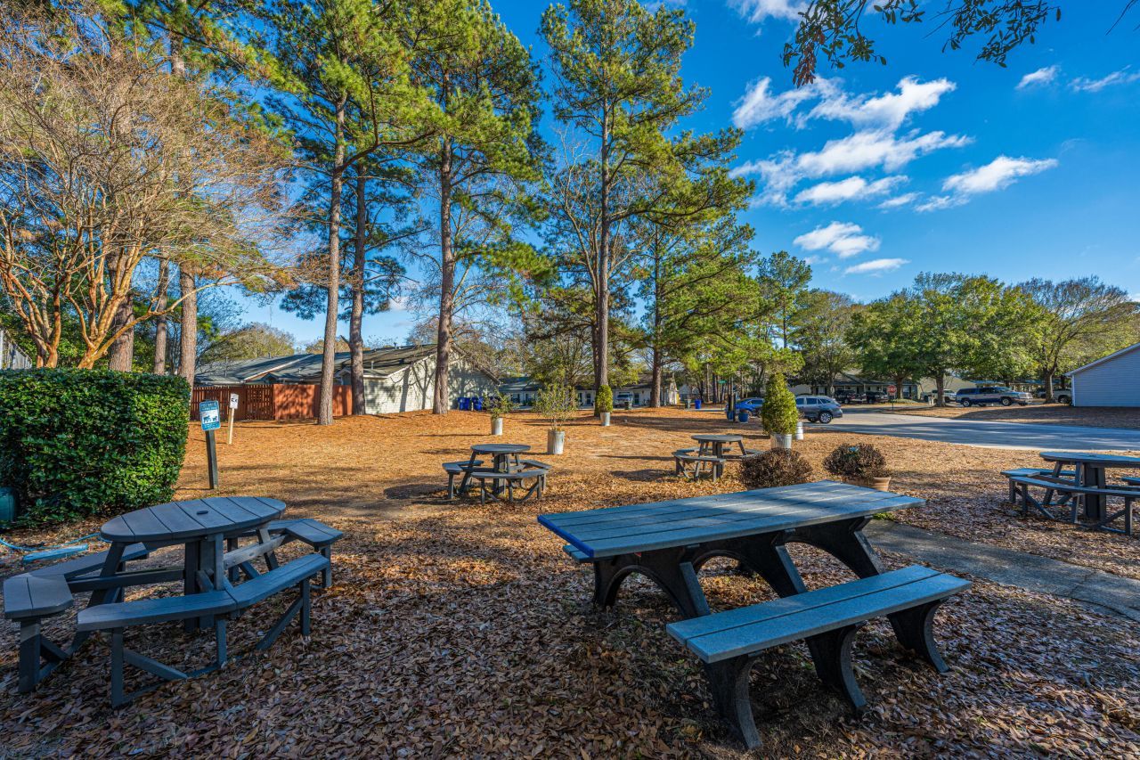 1365 Pinnacle Lane Photo 30