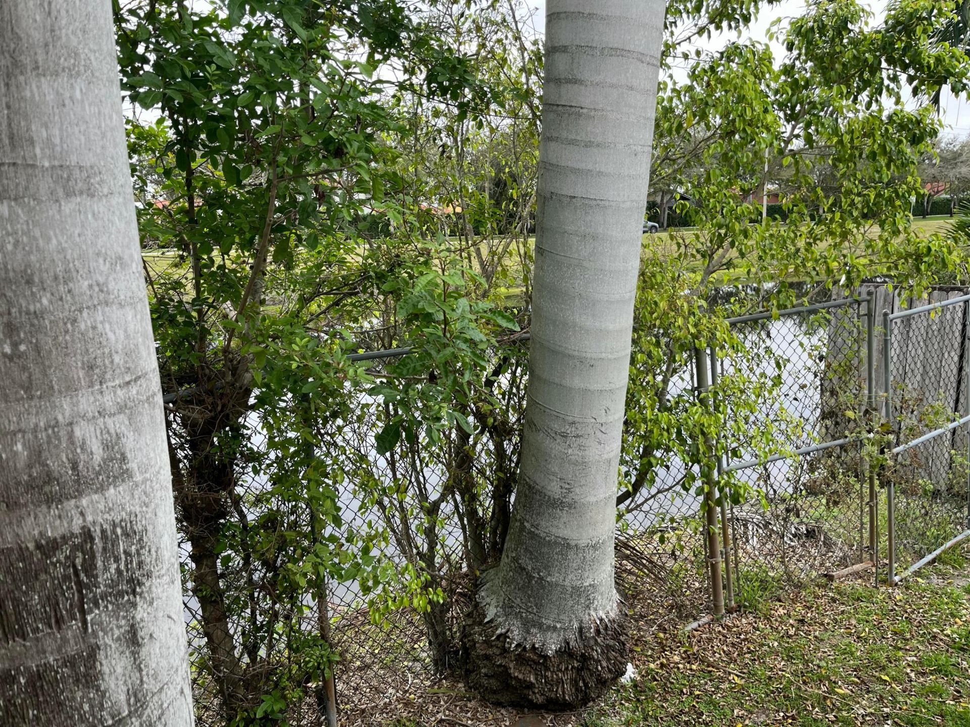 7445 N Augusta Drive, Hialeah, FL 33015 Photo