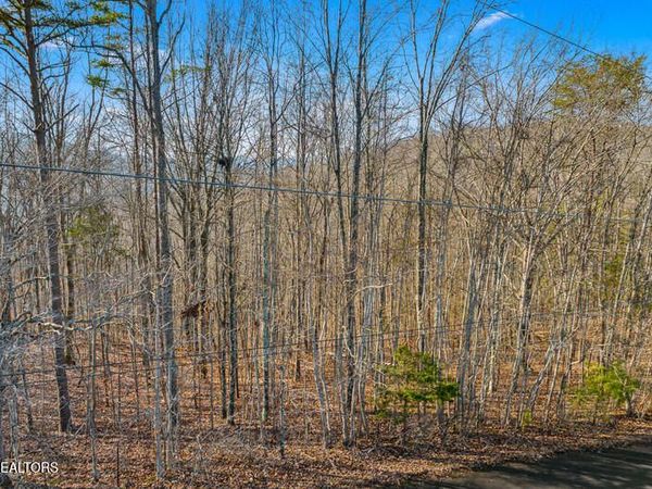 Overton Rd Lot 18/19 , Maynardville, TN 37807
