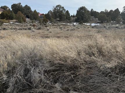 2421 Cartwright Road, Reno, NV 89521 Photo