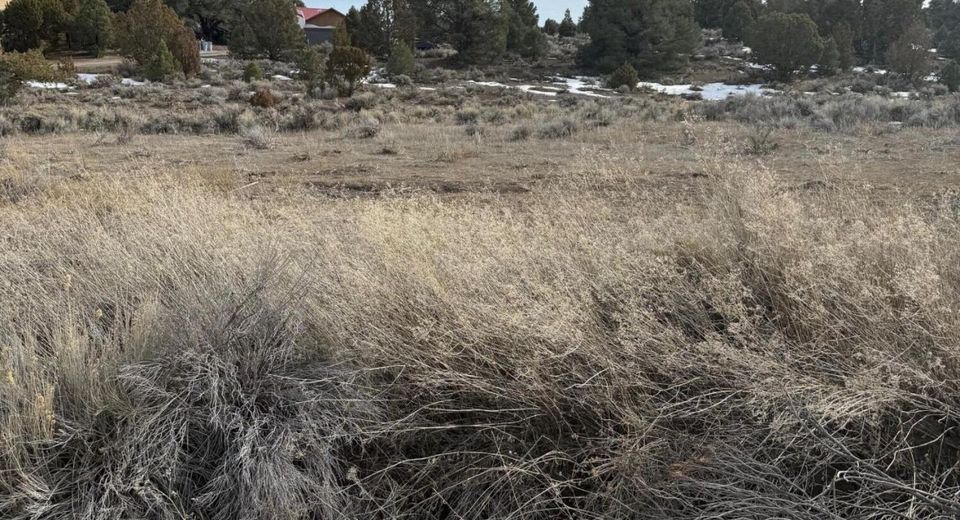 2421 Cartwright Road, Reno, NV 89521 Photo