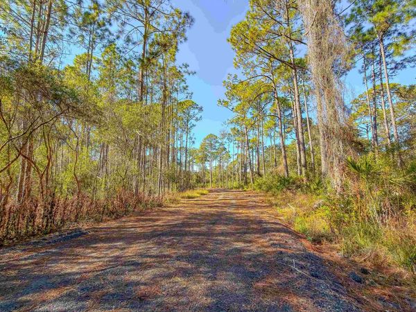 120 Bay Magnolia, Carrabelle, FL 32322