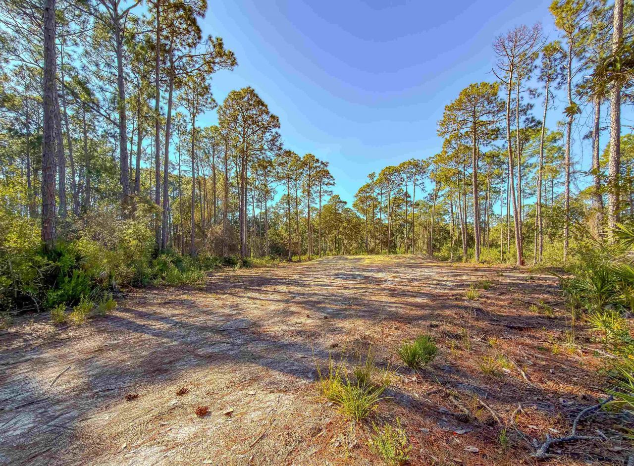 120 Bay Magnolia, Carrabelle, FL 32322 Photo