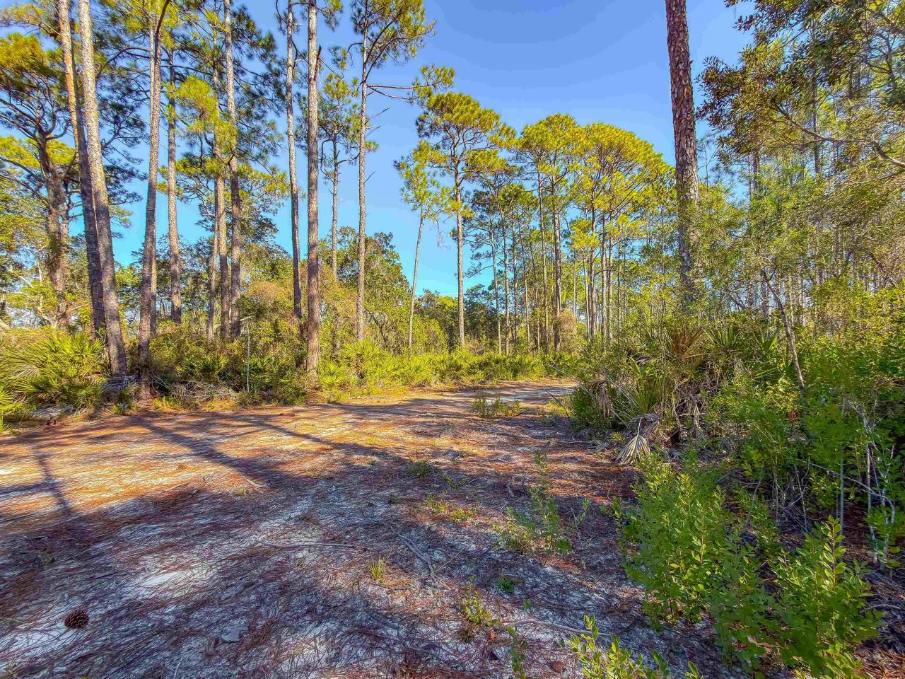 120 Bay Magnolia, Carrabelle, FL 32322 Photo