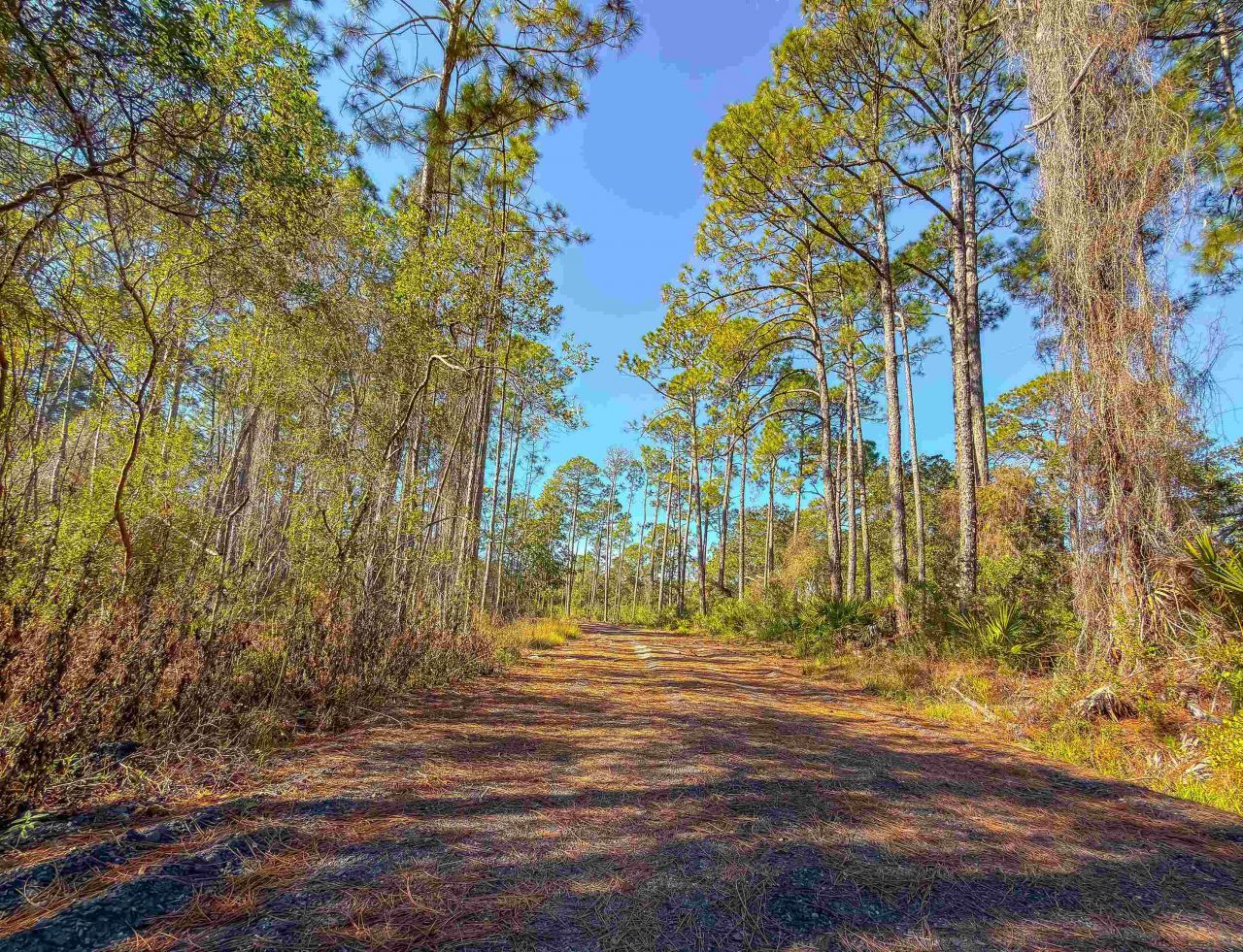 120 Bay Magnolia, Carrabelle, FL 32322 Photo