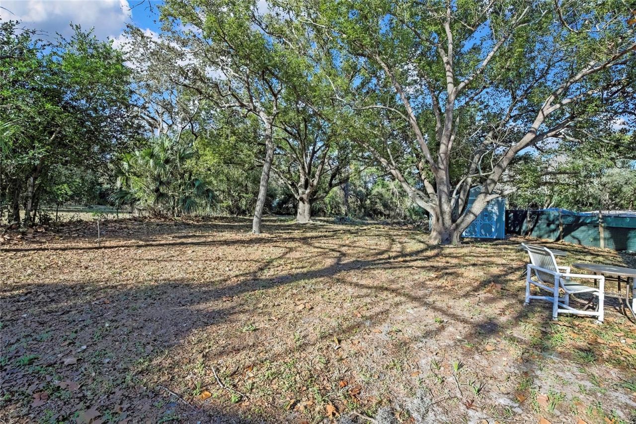 15739 Brenda Street, Hudson, FL 34667 Photo