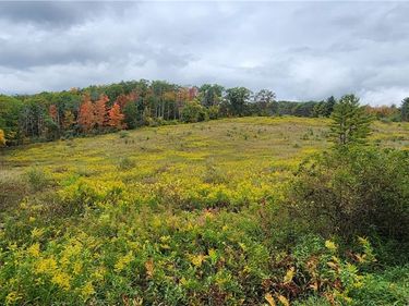 Hanyon Road, Canisteo, NY 14823