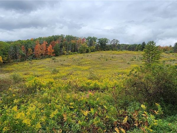 Hanyon Road, Canisteo, NY 14823