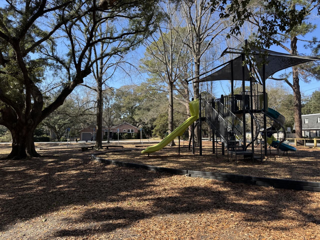 1644 Pinckney Park Drive Photo 53