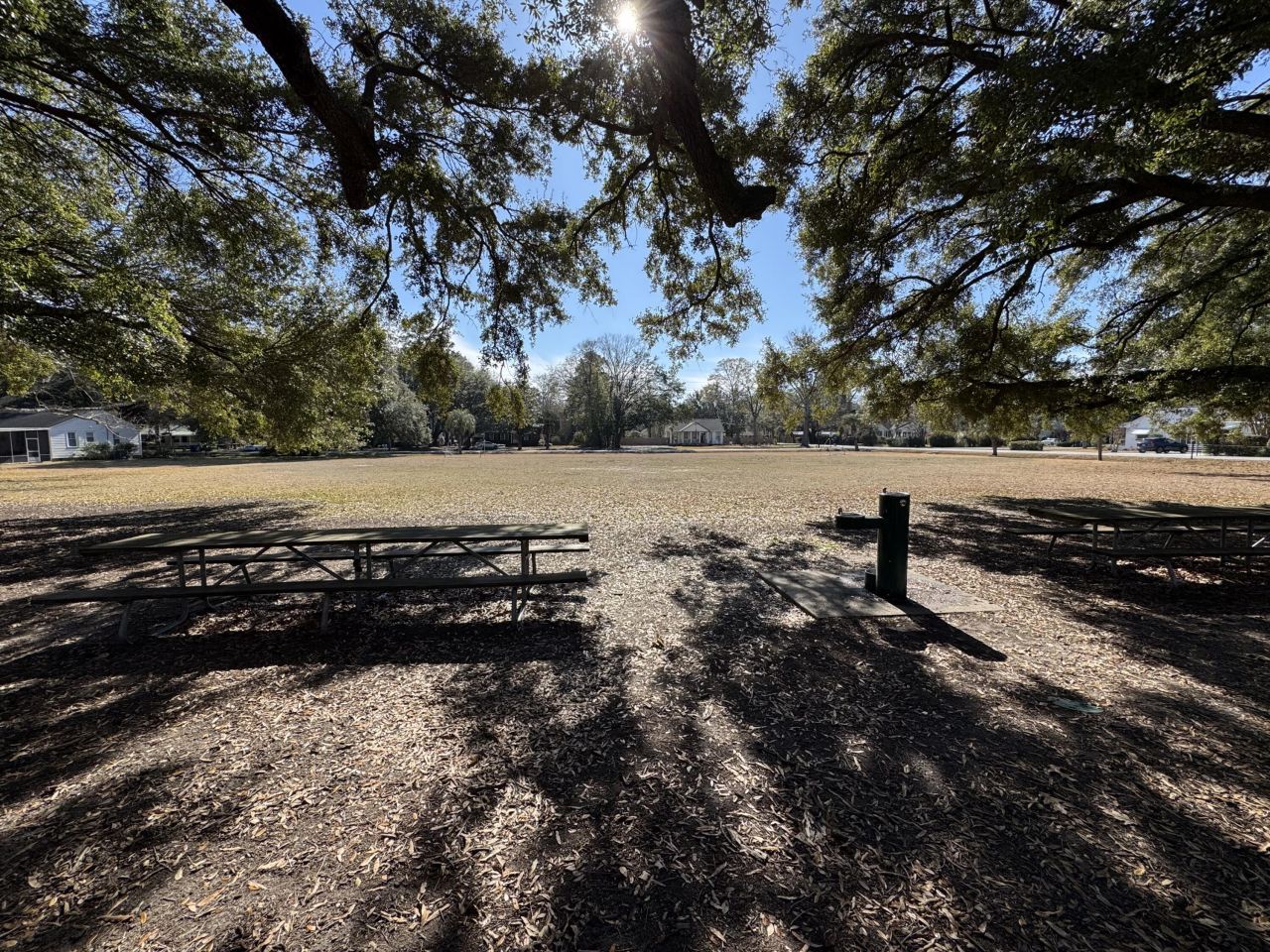 1644 Pinckney Park Drive Photo 54