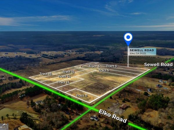 LOT 3 Sewell Road, Elko, GA 31025