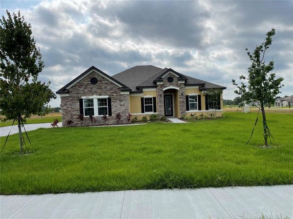 10067 DOLPHIN GULL CIRCLE, THONOTOSASSA, FL 33592