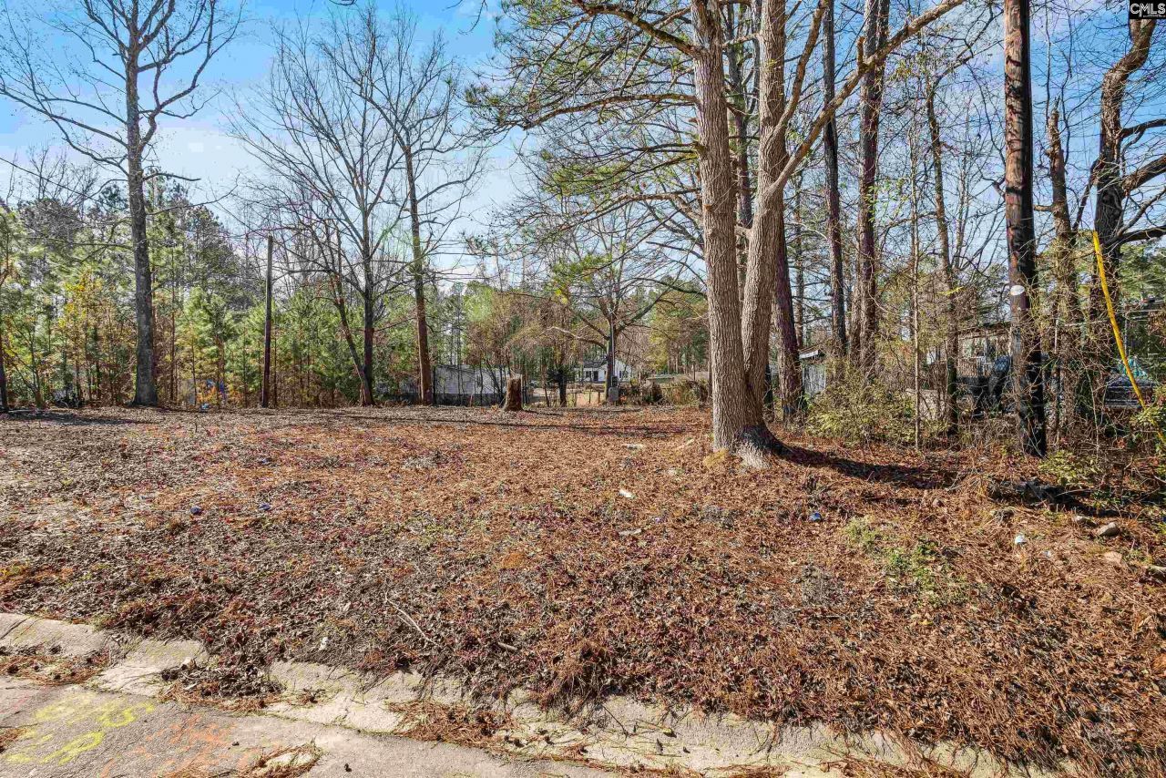 104 Kelsey Street Photo 14