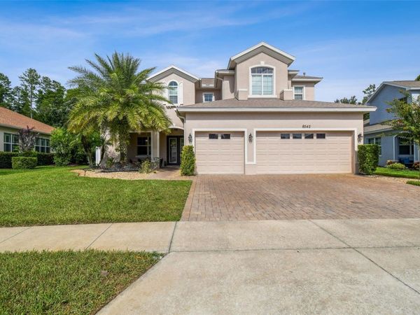 8542 EAGLE BROOK DRIVE, LAND O LAKES, FL 34638