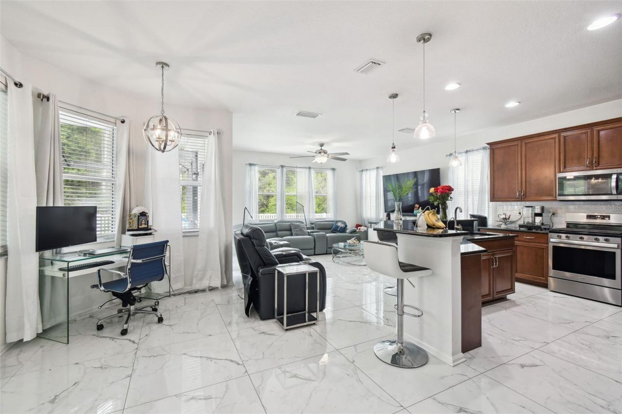 8542 Eagle Brook Drive, Land O Lakes, FL 34638 Photo