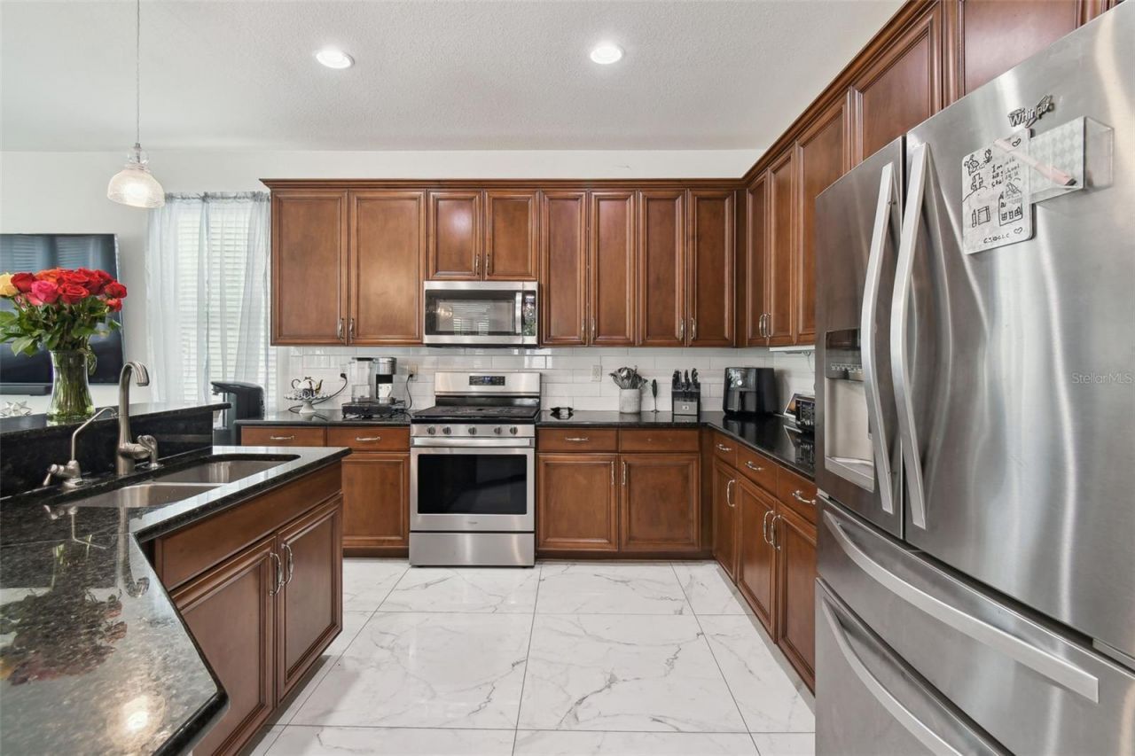 8542 Eagle Brook Drive, Land O Lakes, FL 34638 Photo