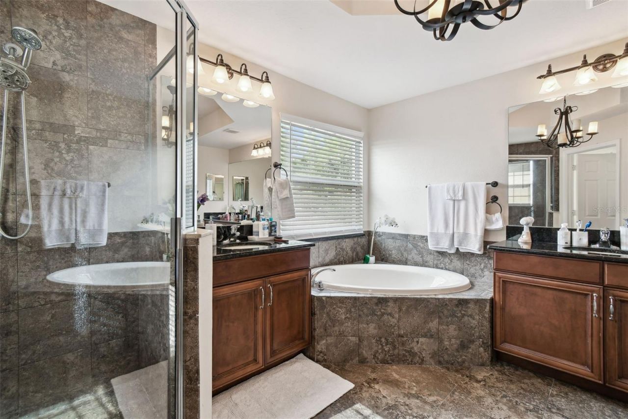 8542 Eagle Brook Drive, Land O Lakes, FL 34638 Photo