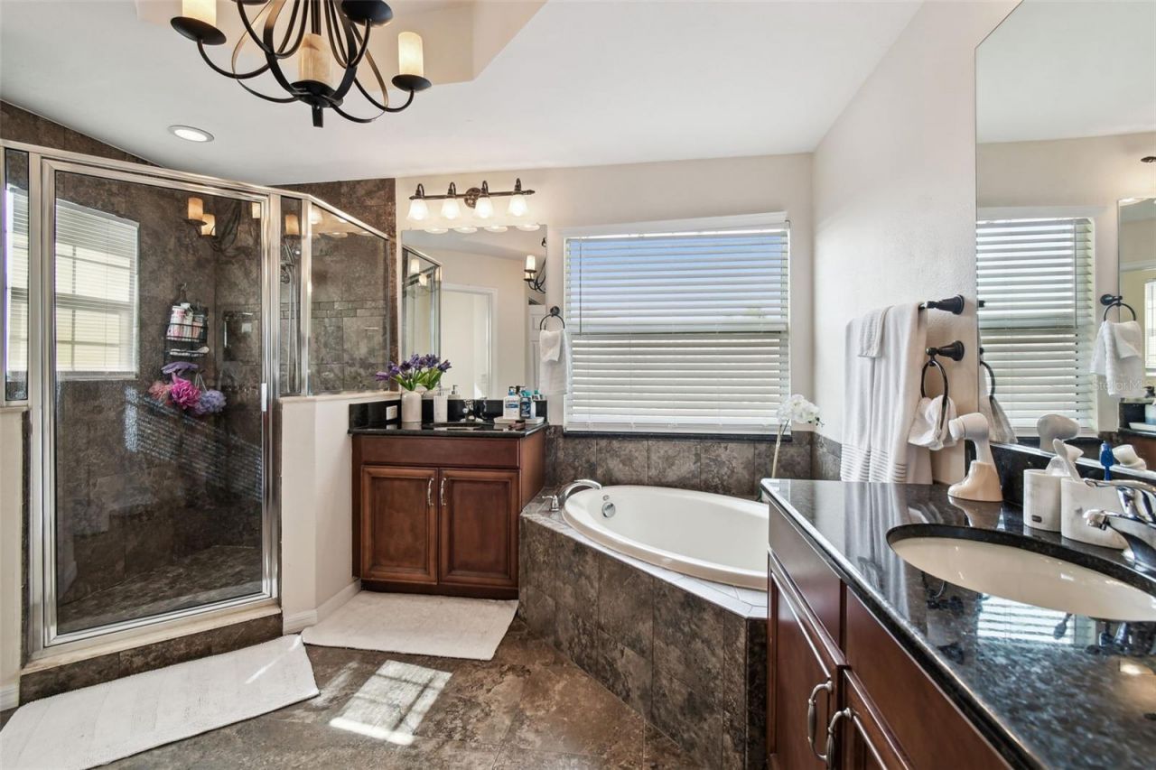 8542 Eagle Brook Drive, Land O Lakes, FL 34638 Photo