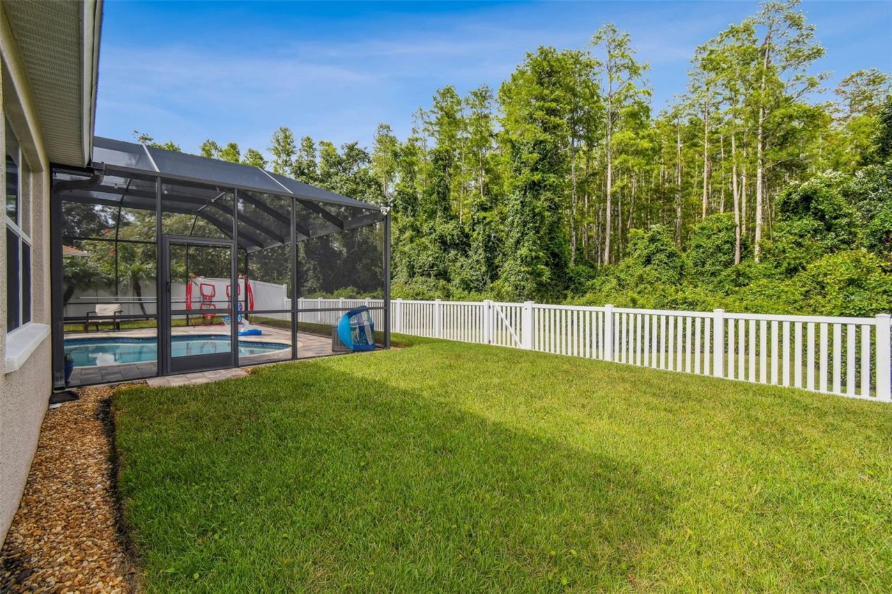 8542 Eagle Brook Drive, Land O Lakes, FL 34638 Photo