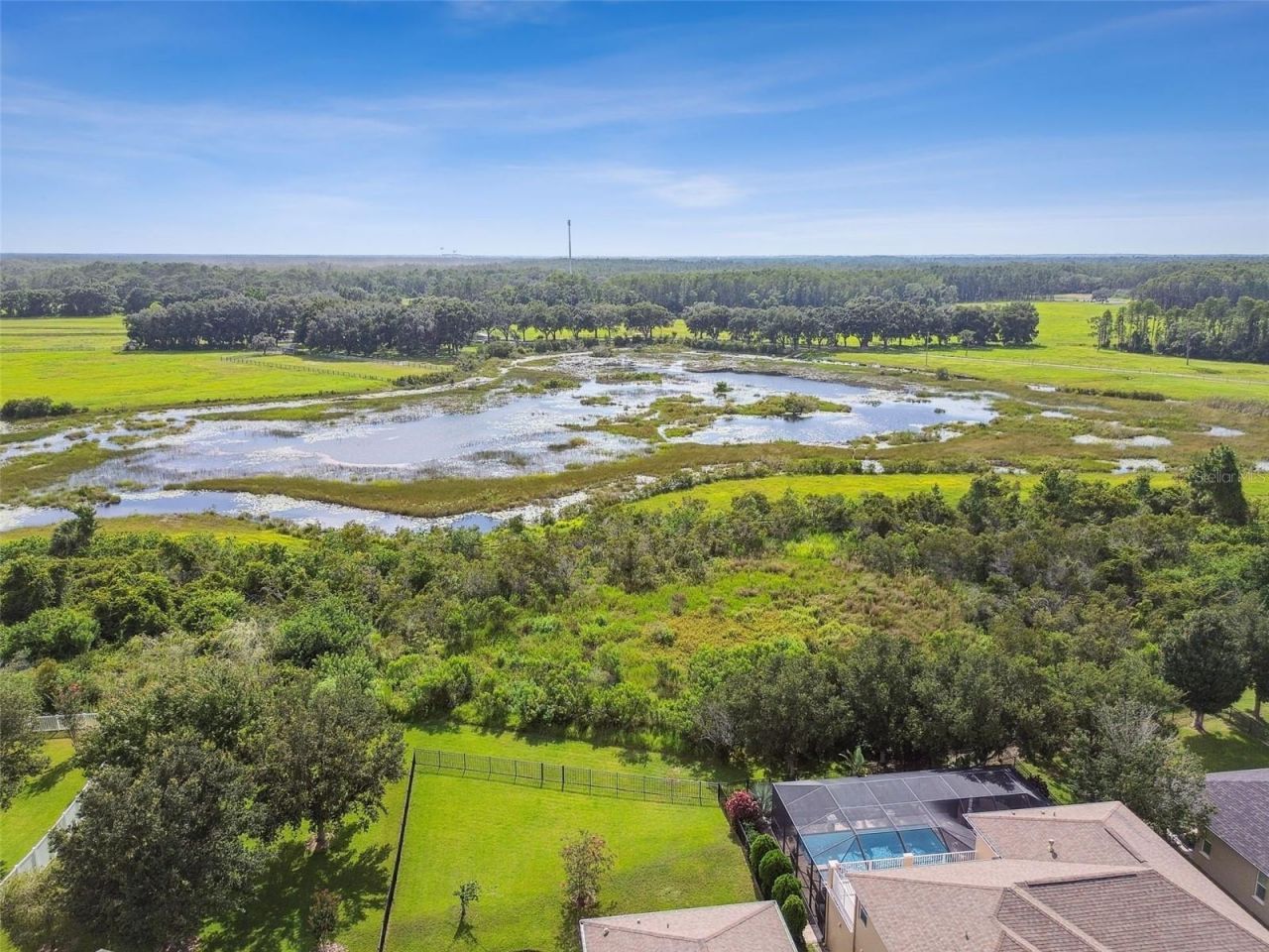 8542 Eagle Brook Drive, Land O Lakes, FL 34638 Photo