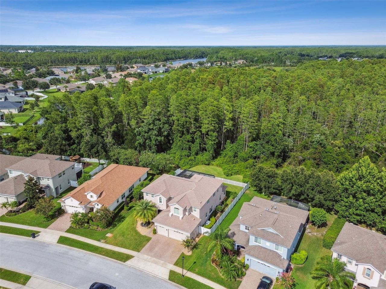 8542 Eagle Brook Drive, Land O Lakes, FL 34638 Photo