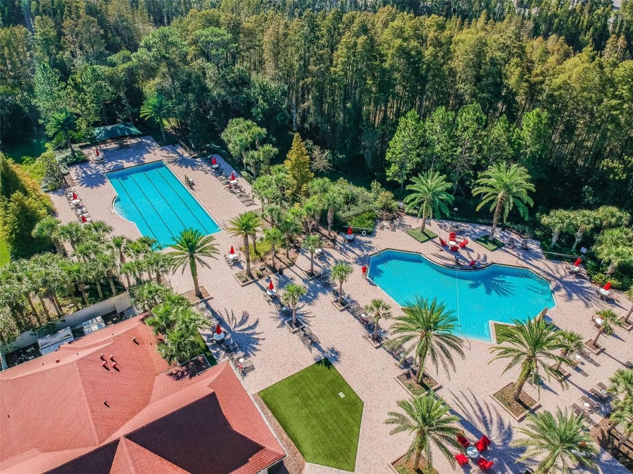 8542 Eagle Brook Drive, Land O Lakes, FL 34638 Photo