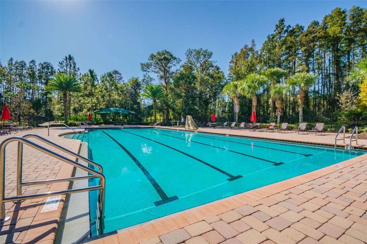 8542 Eagle Brook Drive, Land O Lakes, FL 34638 Photo