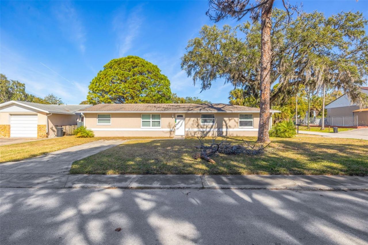 8331 Wilkins Street, Port Richey, FL 34668 Photo
