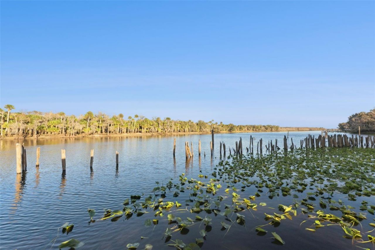 2565 E Osceola Road, Geneva, FL 32732 Photo