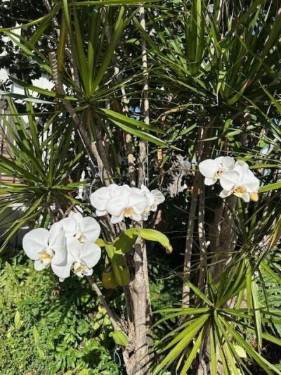 1405 Bridgewood Drive, Unit 1405, Boca Raton, FL 33434 Photo