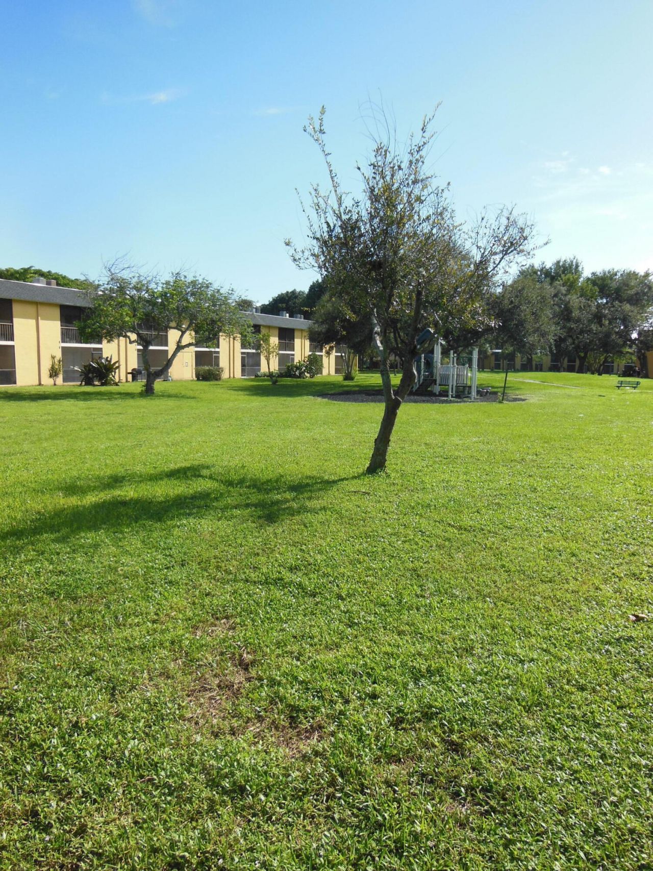 709 Meadows Circle, Boynton Beach, FL 33436 Photo